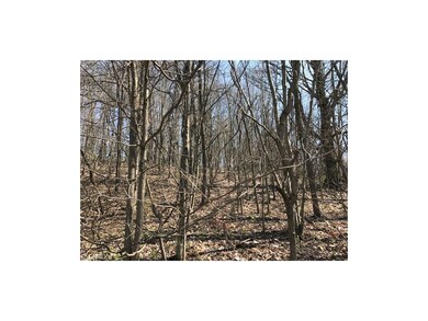 FOLLOW THE DEER TRAILS!