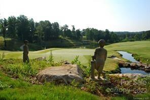 Lot 337 Withers Dr, Catawba Springs, NC 28037 - photo 6