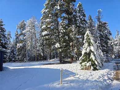 272/268 Moose Trail, Whitefish, MT 59937 - photo 2