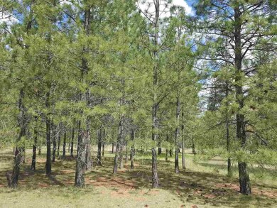 2600 Blk Hogan's Way, Chewelah, WA 99109 - photo 7