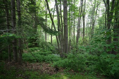 414 Ferry Rd, Saco, ME 04072 - photo 7