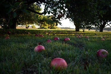 16821 State Line Rd, Harlan, IN 46743 - photo 6