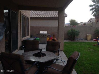 Back yard 1