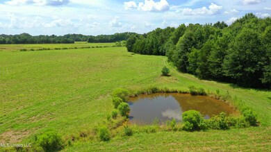 0 Russell Rd, Flora, MS 39071 - photo 4