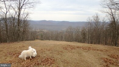 Lot 202 Hampshire Ridge Rd, Romney, WV 26755 - photo 3