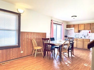 817 74th St, Downers Grove, IL 60516 - photo 7