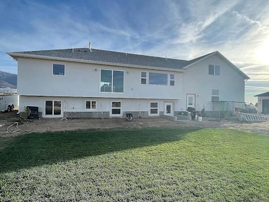 Back of House
