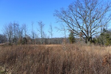 4874 Fox Knob Ln, Cookeville, TN 38506 - photo 5