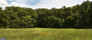 12227 Dover Rd, Owings Mills, MD 21117 - photo 5