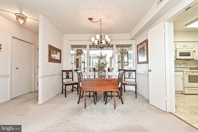 Skyline Square North and South unit 516N, Baileys Crossroads, VA 22041 - photo 4