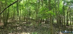 1380 Jasmine Rd, Goochland, VA 23063 - photo 3