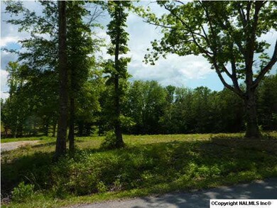 Choose to build toward the front or way to the rear. Beautiful property!