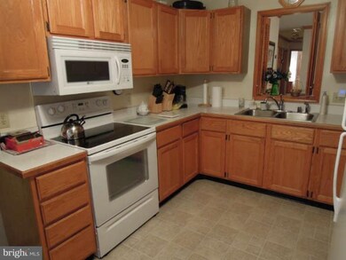 10407 Shaw Dr, Spotsylvania, VA 22553 - photo 7