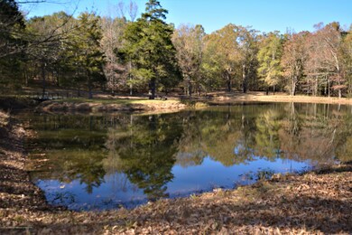 Pond