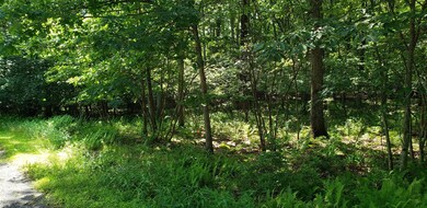 1020 Sierra Ct, Hawley, PA 18428 - photo 2