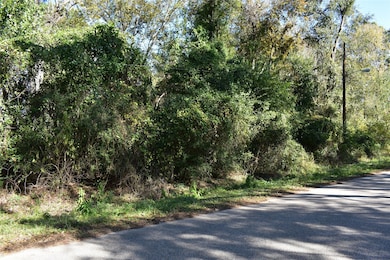 3415 Evergreen Dr, Houston, TX 77365 - photo 3