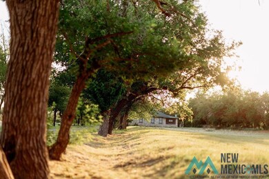 1301 N Canal St, Carlsbad, NM 88220 - photo 3