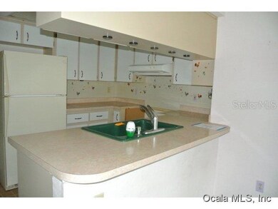 20131 SW Marine Blvd, Dunnellon, FL 34431 - photo 3