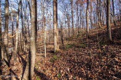 2020 Ruritan Rd, Harriman, TN 37748 - photo 5