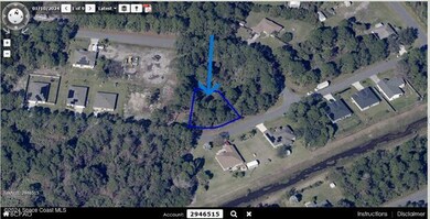 Sat View iii