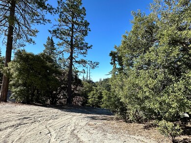 0 Mountain View unit 219139481DA, Idyllwild, CA - photo 2
