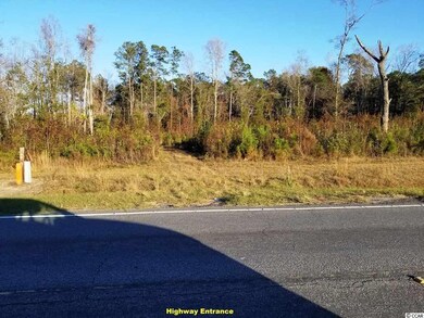 0 S Carolina 410, Aynor, SC 29511 - photo 3