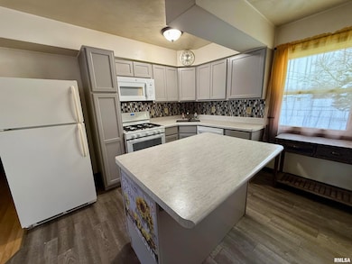 331 6th St, Colona, IL 61241 - photo 2