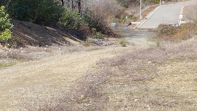 000 Redwood Hwy, Cave Junction, OR 97523 - photo 2