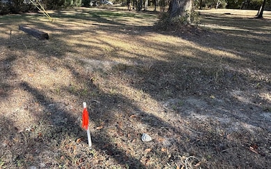 8694 93rd Rd, Live Oak, FL 32060 - photo 7