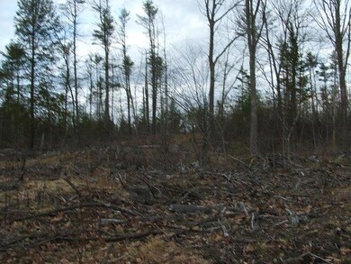 20 Wadlin Rd, Biddeford, ME 04005 - photo 4