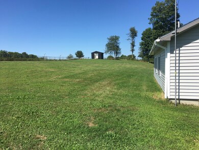 back lawn