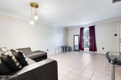100 Winchester Dr unit 704, Lafayette, LA 70506 - photo 5