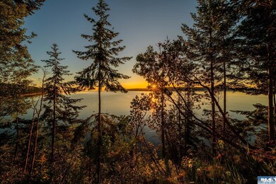 398 Daisey King Rd, Sequim, WA 98382 - photo 2