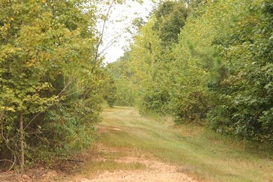 0 S Hill Rd unit 40892, Lunenburg, VA 23944 - photo 5