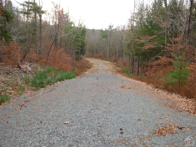 Wooded Lots