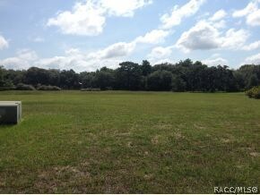 1529 N Mccovey Point, Hernando, FL 34442 - photo 4