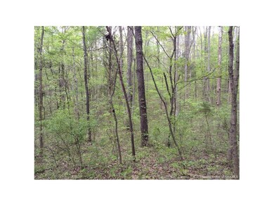 0 Shewmaker Ln SE unit 201502961, Elizabeth, IN 47117 - photo 3