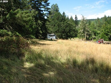 31342 Firview Ln, Creswell, OR 97426 - photo 5