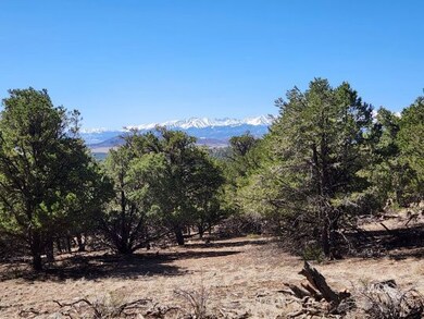 10 acres for sale