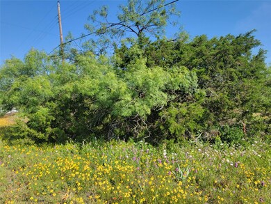 TBD County Road 551, Lake Brownwood, TX 76801 - photo 4
