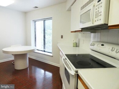 3041 Fallstaff Rd unit 506D, Baltimore, MD 21209 - photo 7