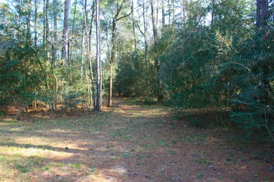 Lot 11 Silver Elm Place, Magnolia, TX 77355 - photo 2