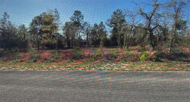 Lot 27 SW Harbour Hills Rd, Dunnellon, FL 34431 - photo 3