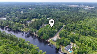 Aerial view of a forest and a nearby body of water