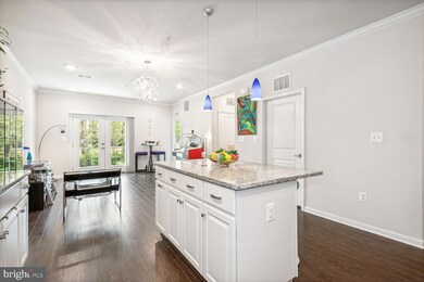 23255 Milltown Knoll Square unit 108, Ashburn, VA 20148 - photo 4