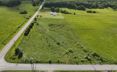 1000 W Miller St, Pleasant Hope, MO 65725 - photo 3