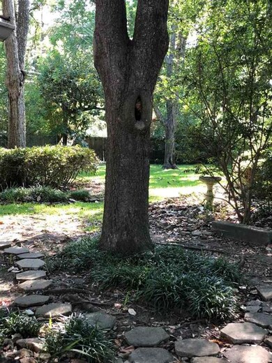 213 S Lee St, Fitzgerald, GA 31750 - photo 3