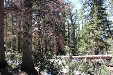 unlisted-address, Idaho Springs, CO 80436 - photo 3