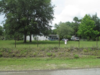 3294 Thunder Rd, Middleburg, FL 32068 - photo 2