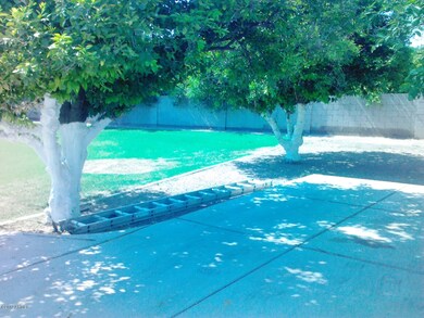 MATURE TREES